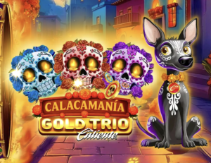 Gold Trio: Calacamania